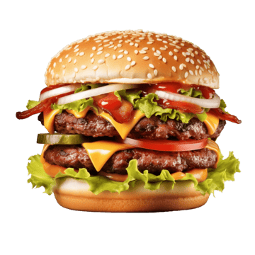 Hamburguer Especial da Casa